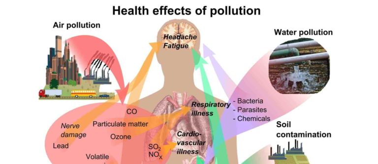 Are you Toxic? Health effects of toxins.