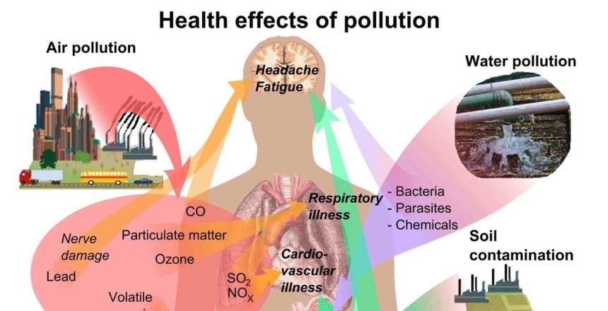 Are you Toxic? Health effects of toxins.